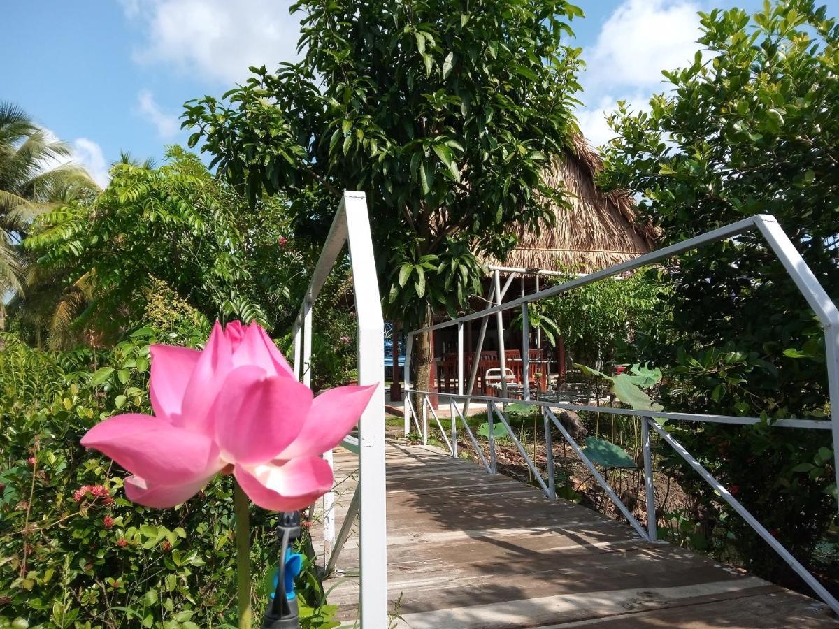 Thach Thao Mỹ Tho